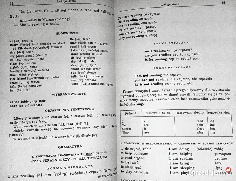 Język angielski początkujących Irena Dobrzycka Chełm sprzedam