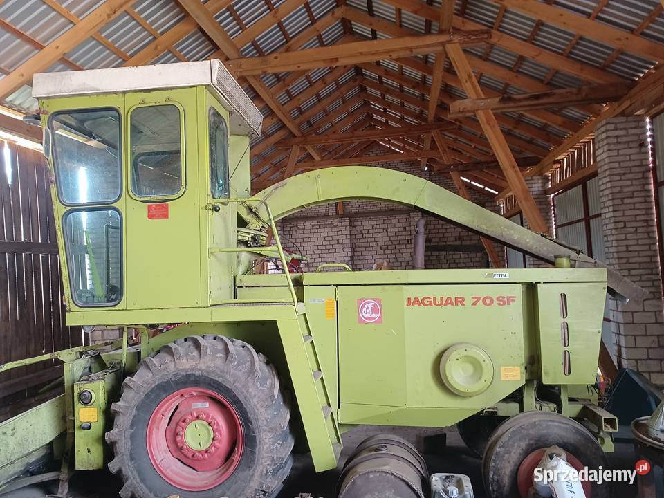 Sieczkarnia Samojezdna Claas Jaguar 70SF 3 rzędy Samojezdne sprzedam