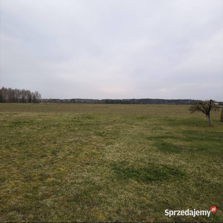 Zabudowana nieruchomość położona we Wronowicach Sprzedaż