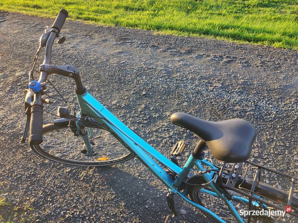 Rower treningowy Checker Pig Suma Nowa Sól
