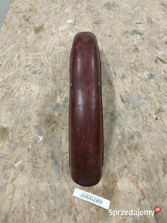 Komar błotnik przedni Rozkochów