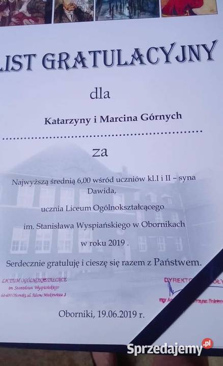 Korepetycje fizyka chemia Z DOJAZDEM Poznań