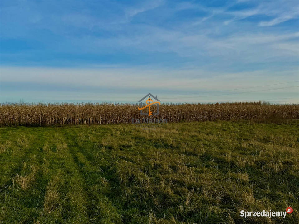Sprzedam działka Rusocice 2700m2 sprzedam