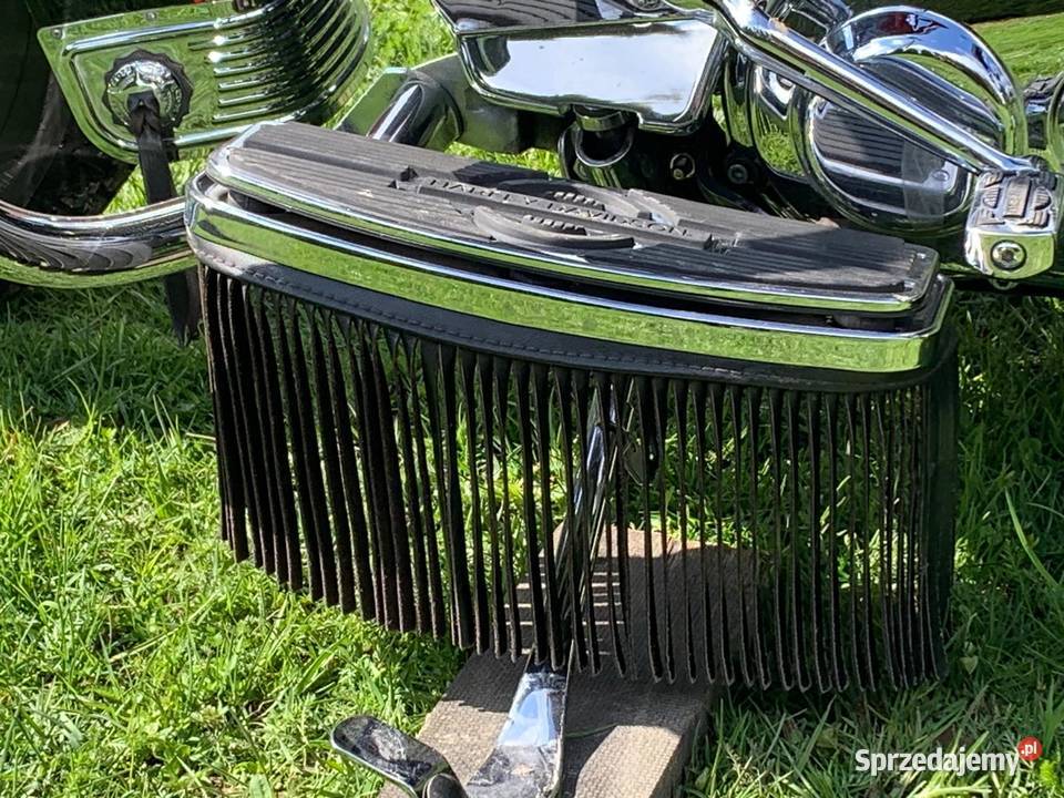 sprzedam 1999r Harley Davidson Heritage podkarpackie Haczów