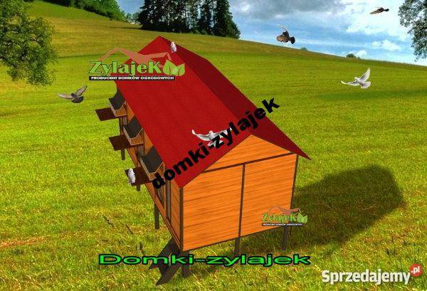 Gołębniki gołębnik cele wloty siodełka prosto Korczyna