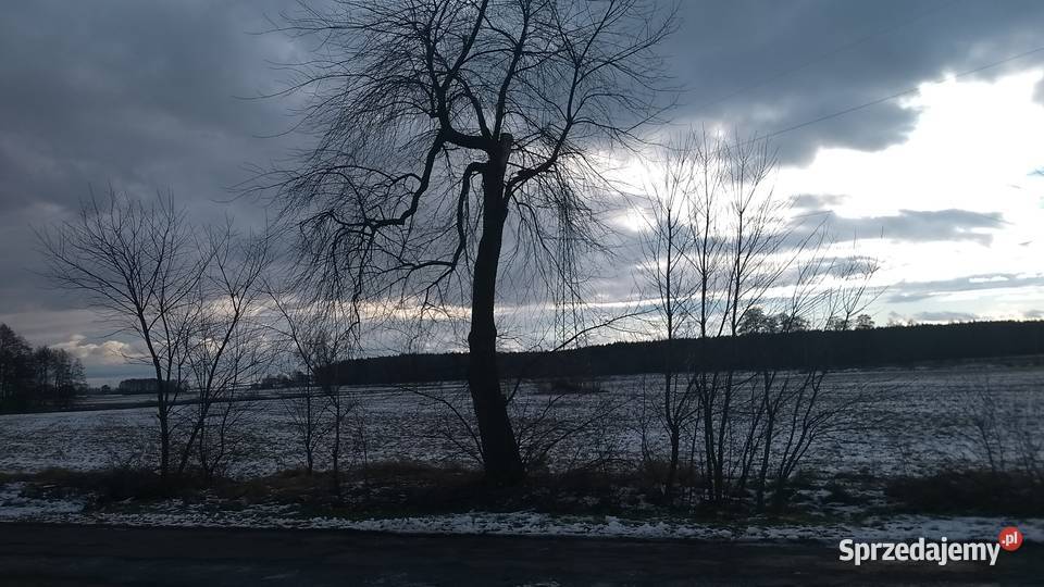 Dzialka rolna 642 ha Tarnowiec w strefie