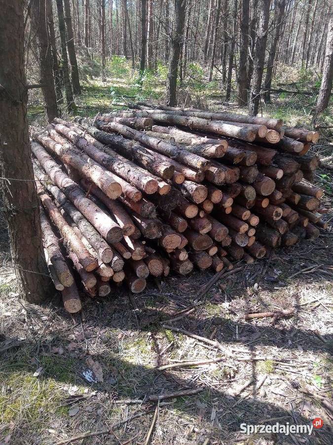 Drewno opałowe suche Poznań