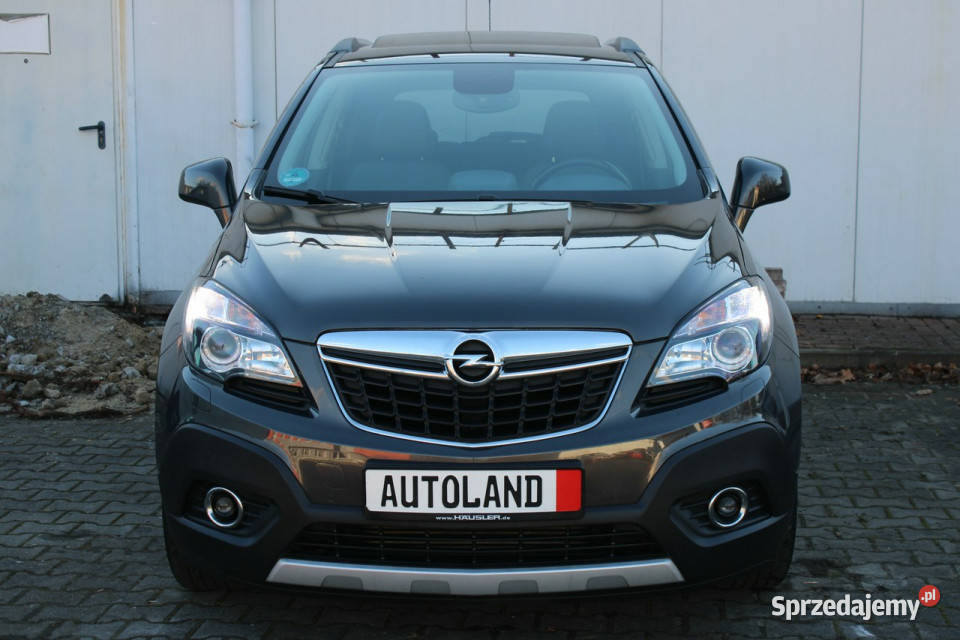 Opel Mokka INNOVATIONBogate wyposazenieMaly przyciemniane szyby śląskie Gliwice sprzedam