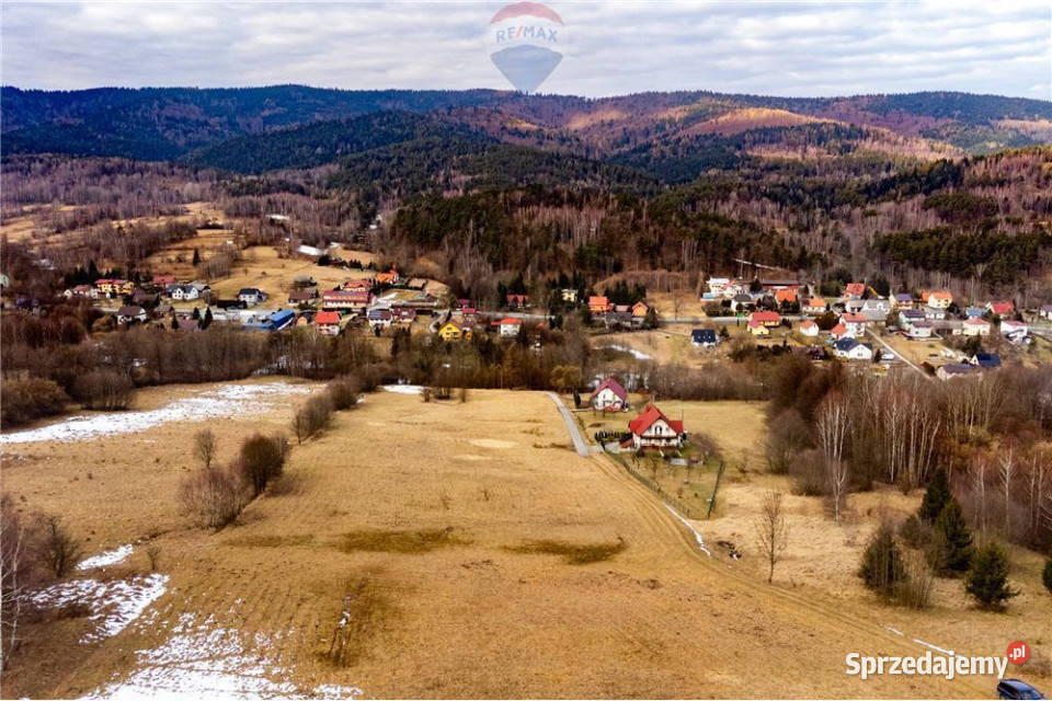 Działka budowlana 30 arów terenów leśnych Las