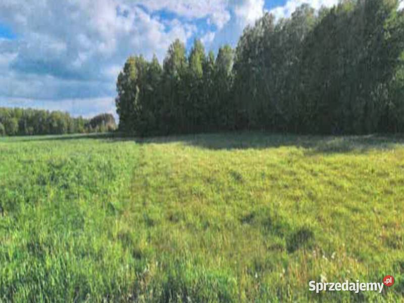Sprzedaż nieruchomości Brzozówka 276 ha Nieruchomości
