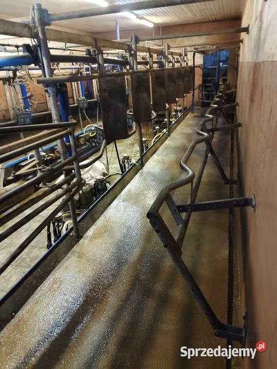 Hala udojowa de laval rybia ość 2x7 stacja pomorskie