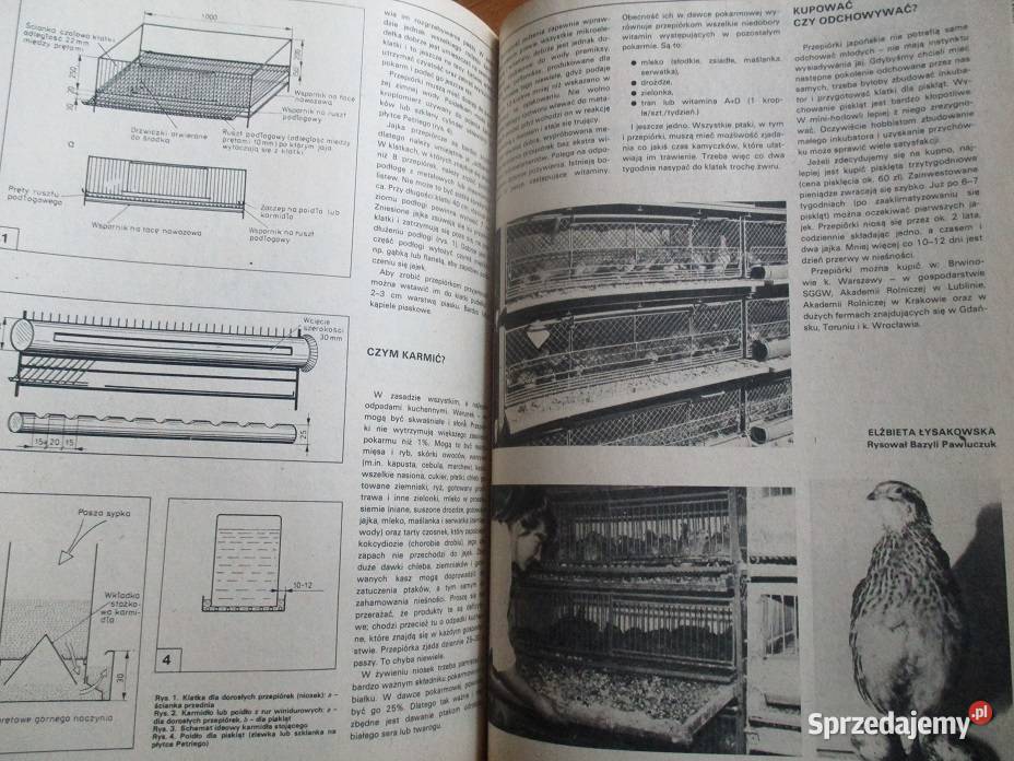 ZRÓB SAM Dwumiesięcznik 1981 1983 rocznik Łódź