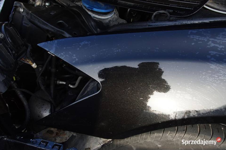 BŁOTNIK LEWY PRZÓD MERCEDES W 221 197 kujawsko-pomorskie Lipno