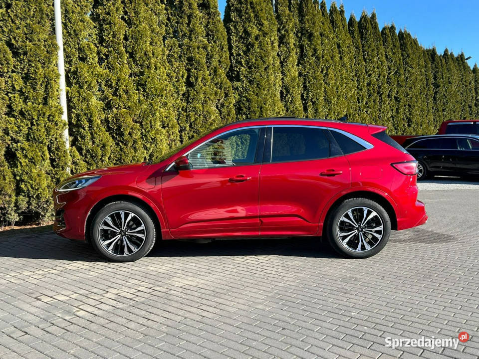 Ford Kuga 25 Duratec PlugIN STLINE Panorama Baranowo