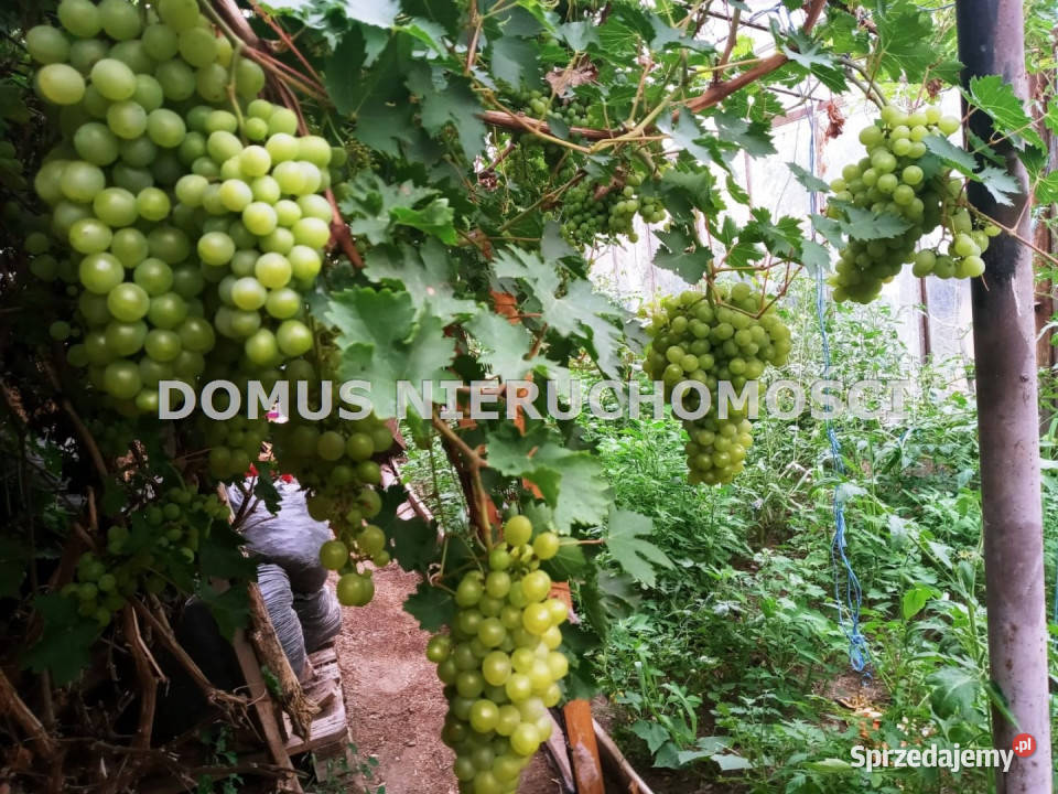 Dom na sprzedaż Rogów 120m2 łódzkie
