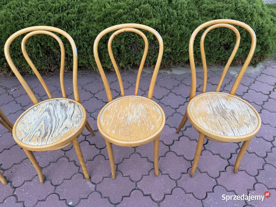 Krzesła gięte 5 Fameg do renowacji art deco mazowieckie Sulbiny
