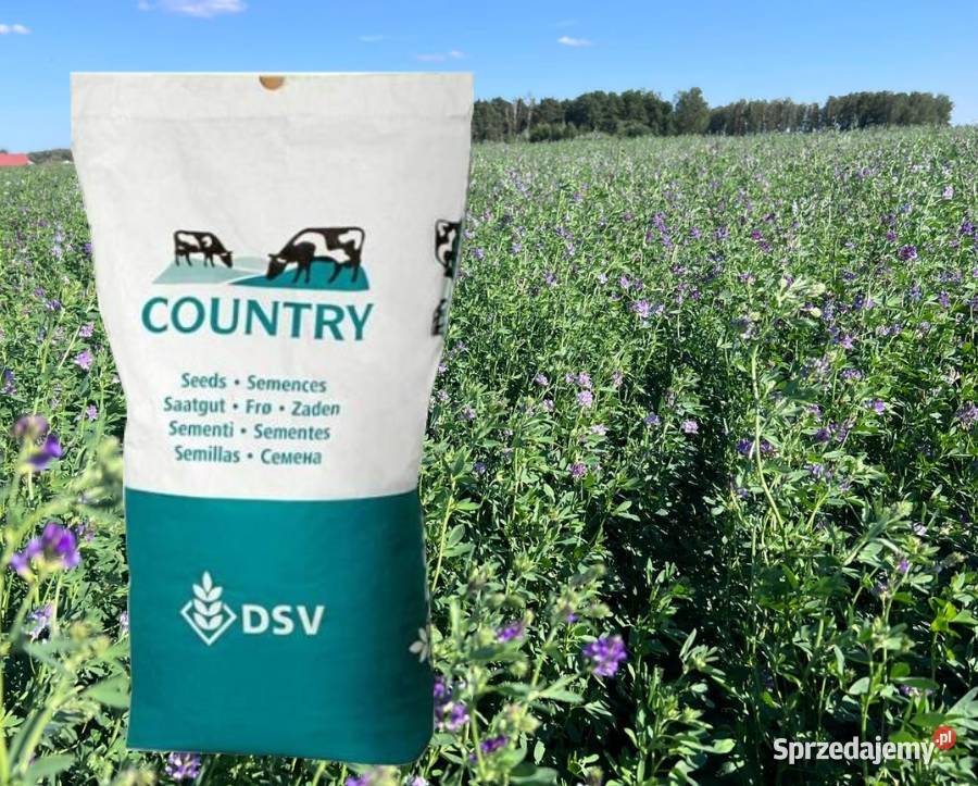 DSV Lucerna PowerMix COUNTRY 2060 Mieszanka kujawsko-pomorskie