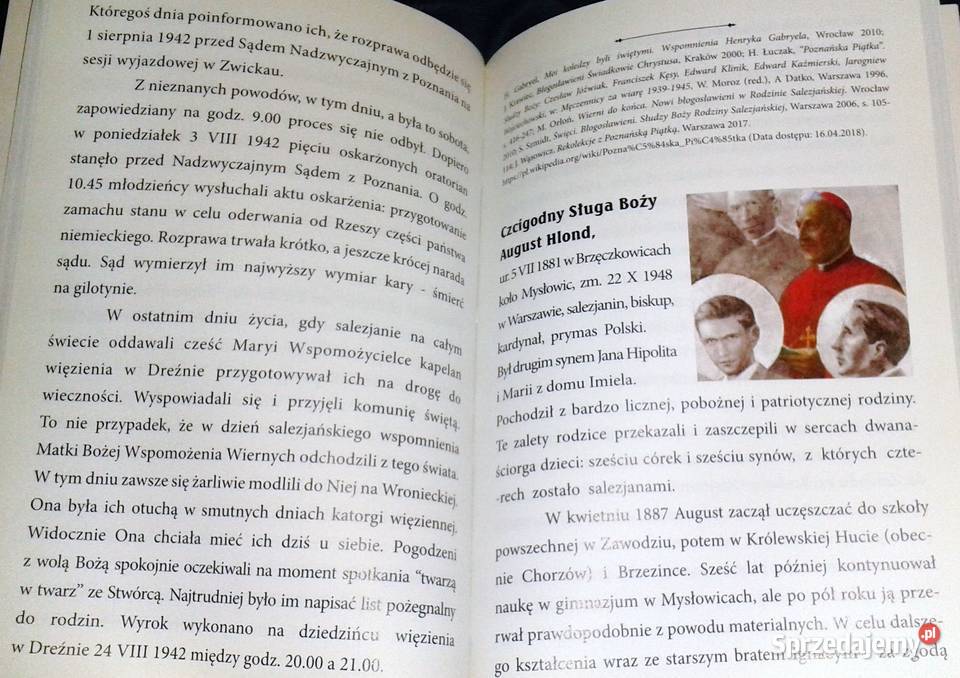 Salezjanie Obraz MB Wspomożenia wiernych Lublin Pozostałe sprzedam