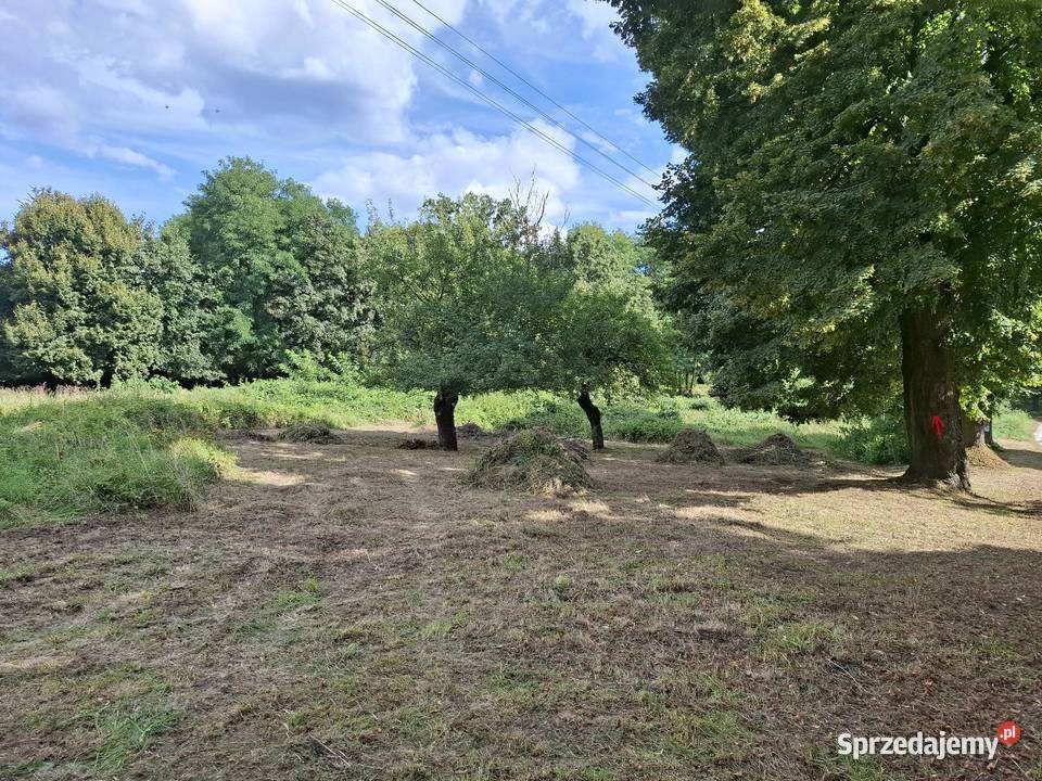 Działka pod budowę Brożek żarski lubuskie 4206m2 4206m2 sprzedam