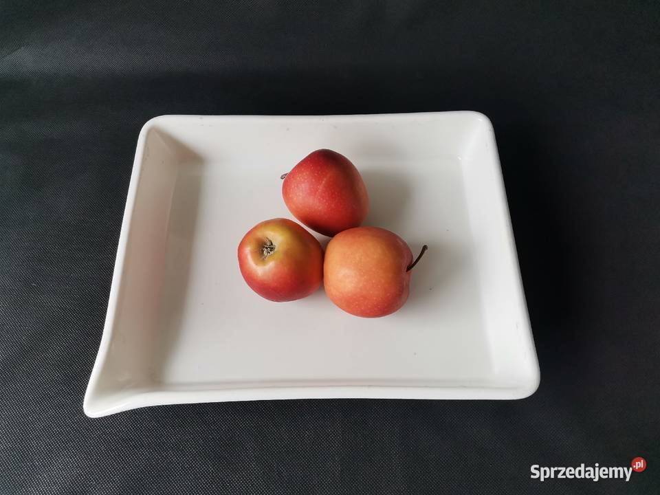 Stara przedwojenna brytfanka porcelana Ćmielów Katowice