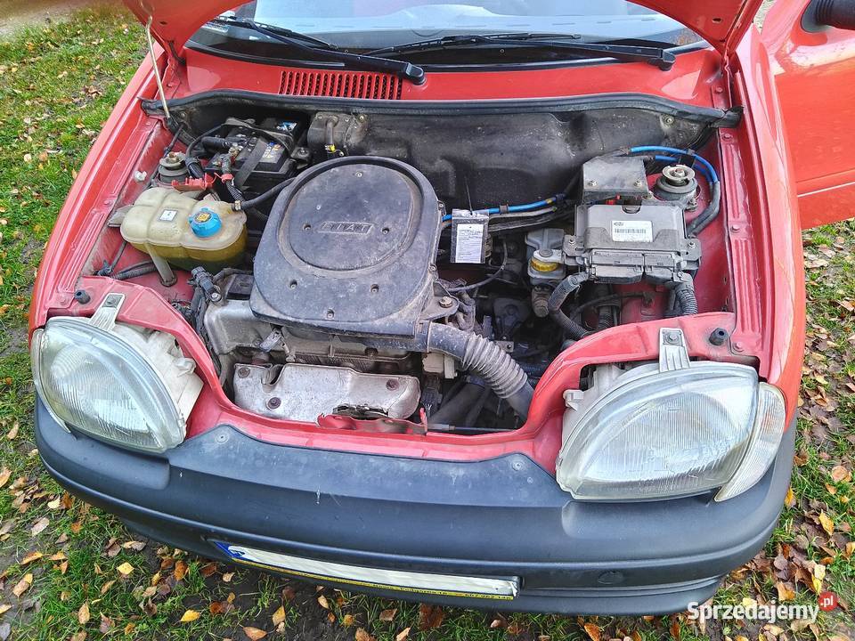 Fiat seicento Chełmno sprzedam
