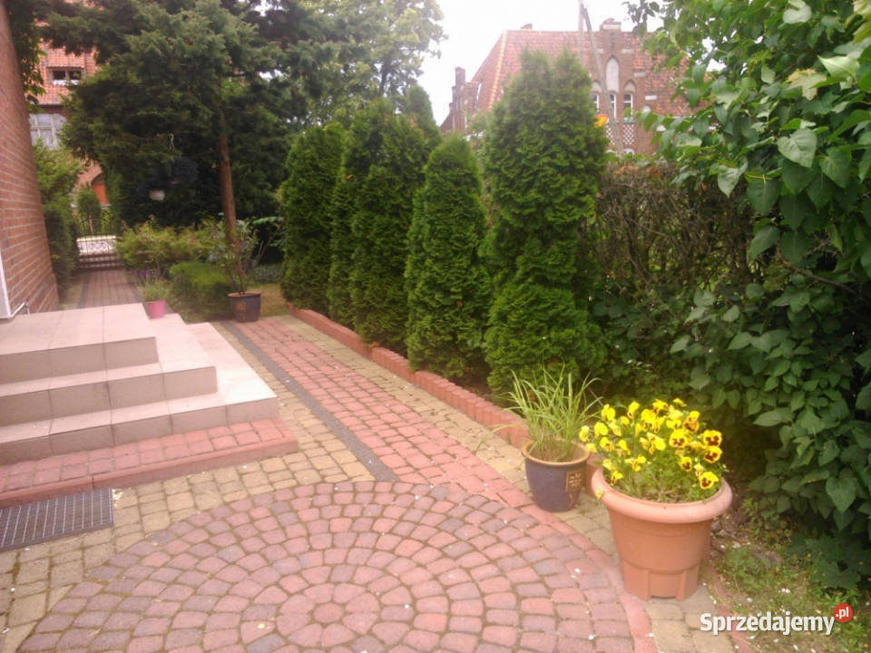 PIĘKNA POSIADŁOŚĆ Zalewem Wiślanym ok ha w Kadyny