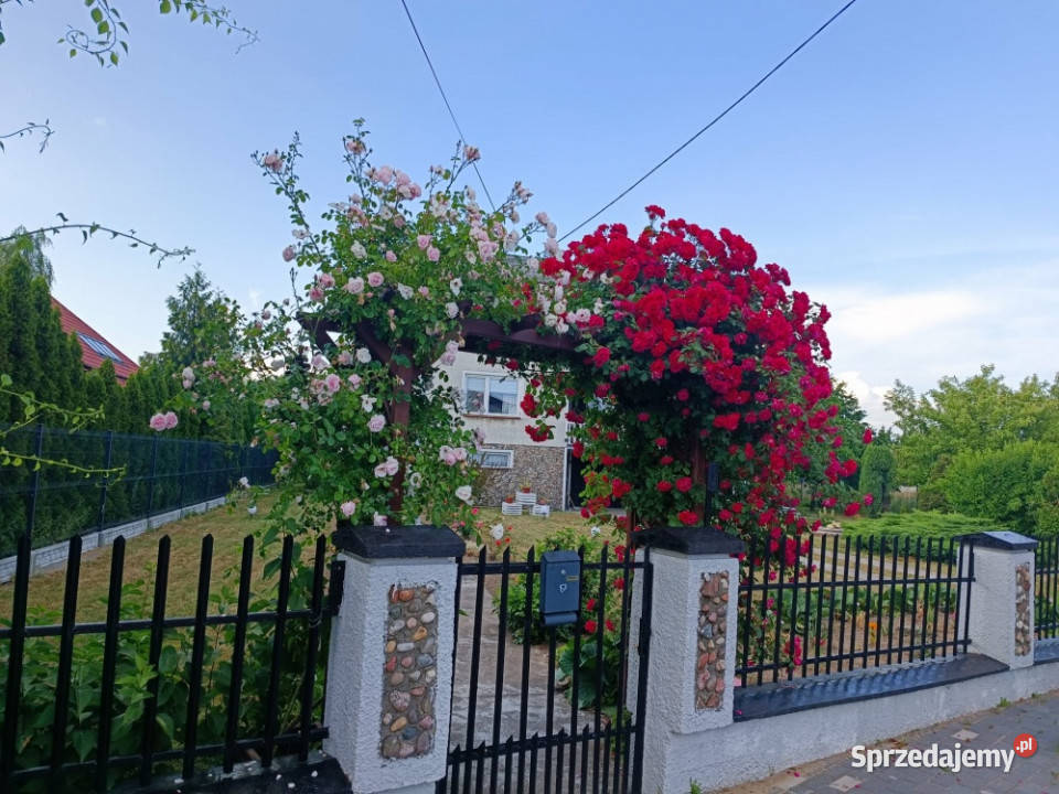 Sprzedam dom w Żurominie