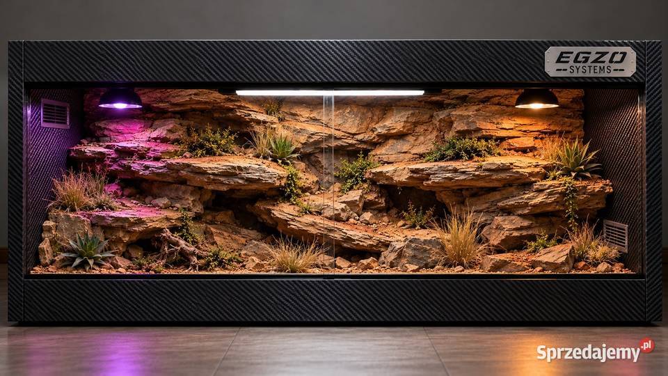Okazja terrarium agamy brodatej gekona