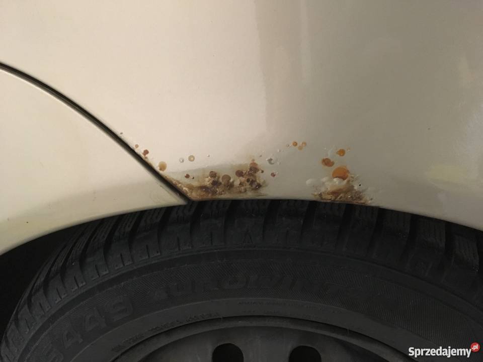 Fiat Albea 12 16V 80 2003 benzyna 161 Warszawa