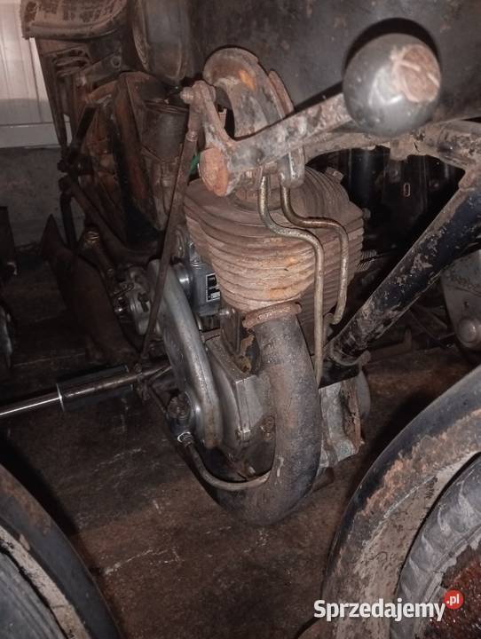 Sprzedam terrota h uszkodzony Gostycyn