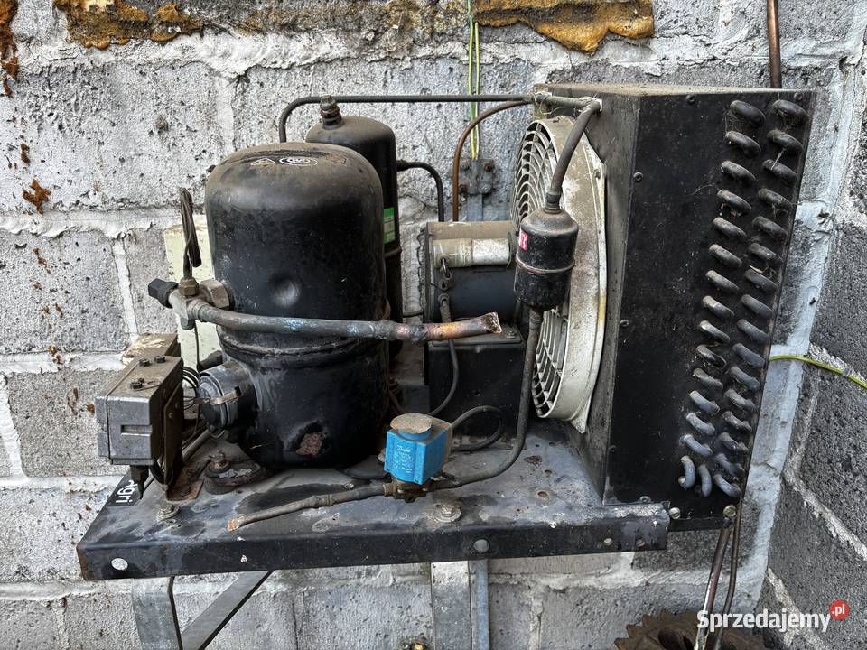 Basen schładzalnik do mleka Pacyna