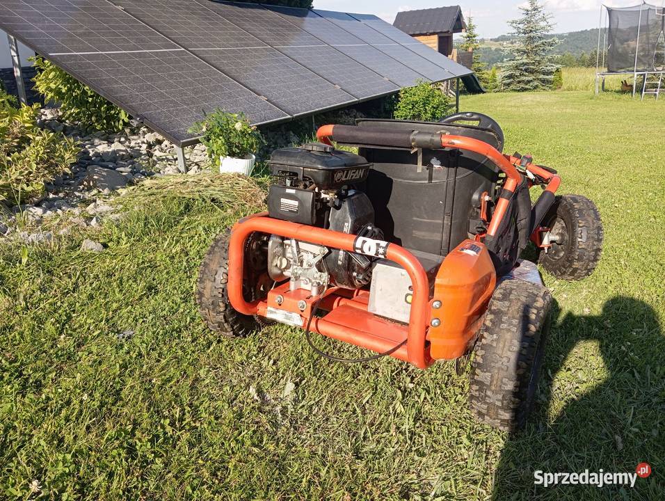Buggy 70cc Ciężkowice