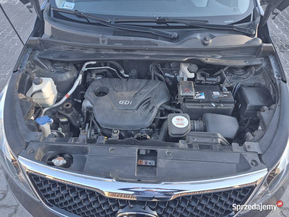 Kia Sportage 2015 Rawicz