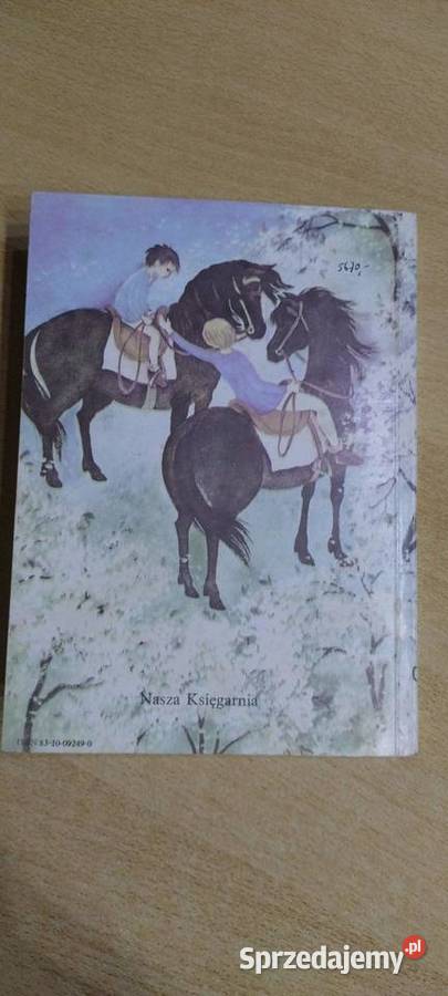 Bracia Lwie Serce Lublin sprzedam