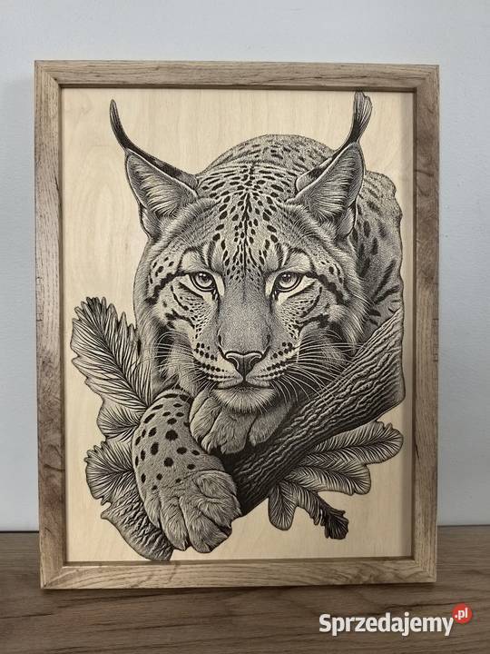 Ryś czeka na nowy dom Obraz A3 Myślenice