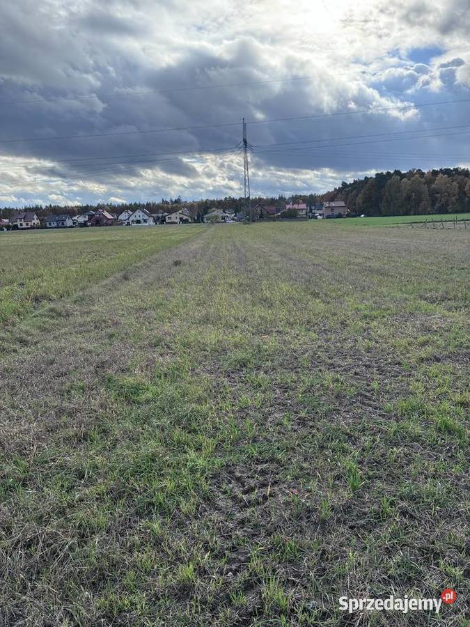 Działka 15 ar z warunkami zabudowy Kazimierz polna