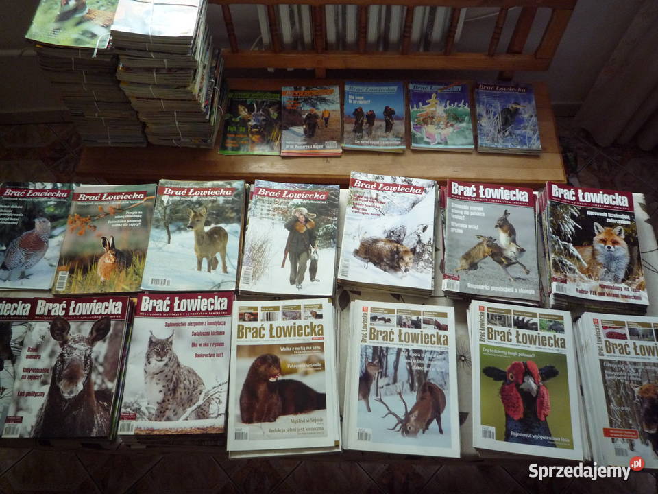 łowiec polski brać łowiecka drwal Chmiel