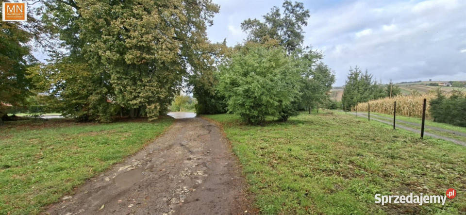 sprzedaży gruntu Miechów Warszawska 2627m2 235zł/m2