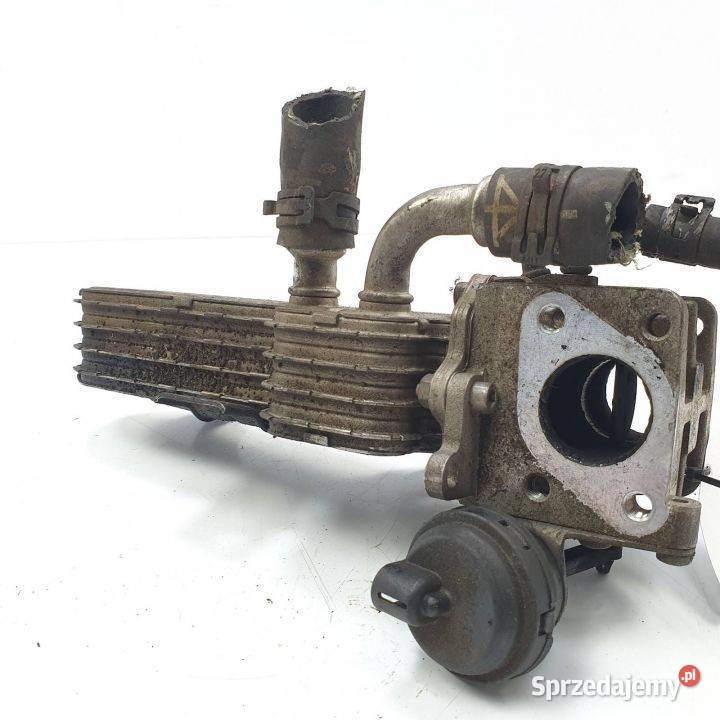 CHŁODNICA EGR AUDI A3 8P 038131513AD Lipno