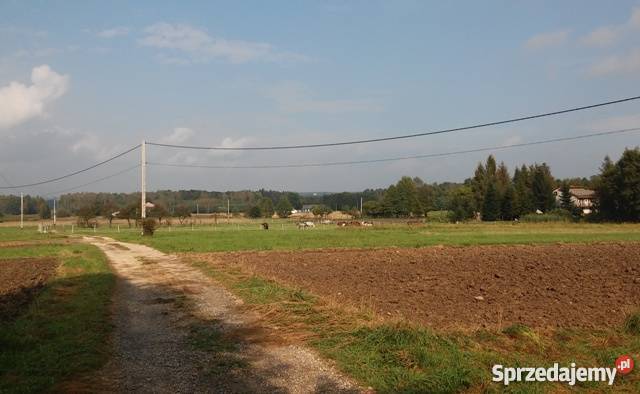 Dom stan surowy zamknięty 123 m2 cicha Jodłówka-Wałki