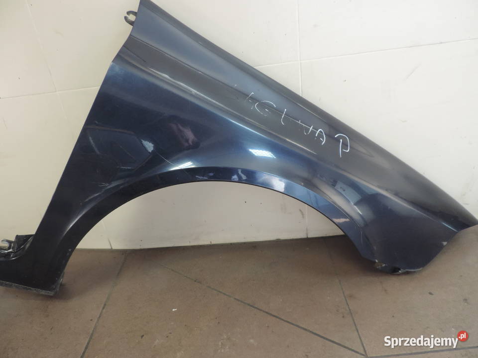 BŁOTNIK PRAWY PRZÓD RENAULT LAGUNA 2 LIFT NV472 części blacharskie Karoseria Nowy Sącz sprzedam