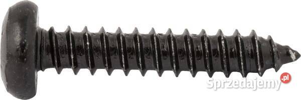 Śruba z łbem krzyżowym St48X25CTorx Znni8F Kamionna