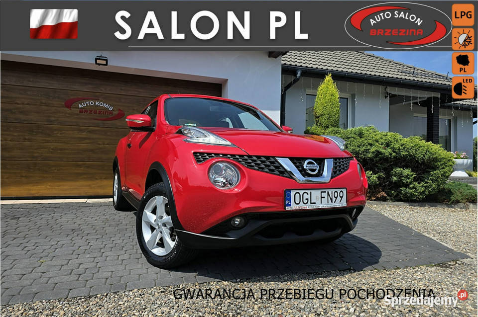 Nissan Juke krajowy I 20102019 benzyna+LPG Juke śląskie