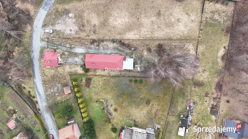 Ogłoszenie lokal Bochnia 160m2