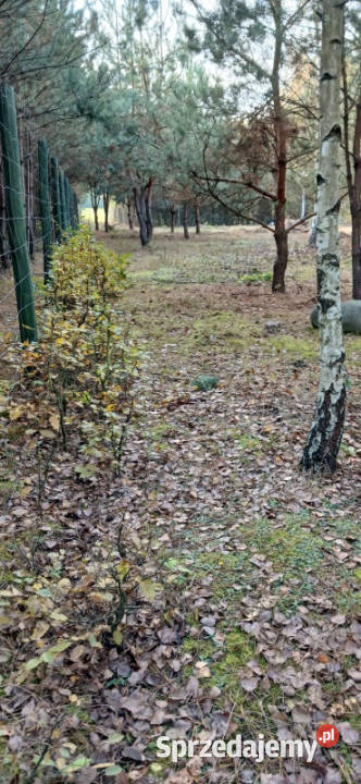 Urokliwa działka z WZ na 2 budynki 32m2