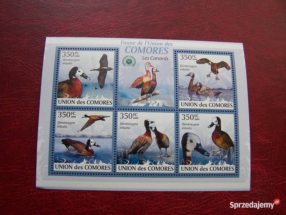 Komory 2009 MNH Fauna Kaczki śląskie sprzedam