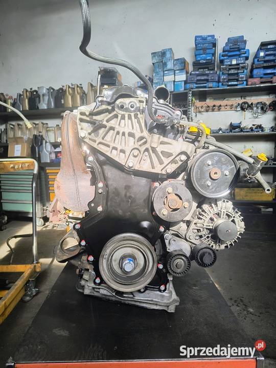 Renault Trafic 20 dCiwszystko w opisie Włoszczowa