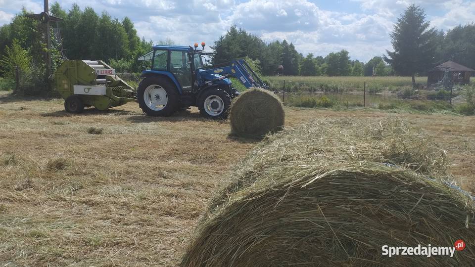 Siano w belach 2026r 13 sztuk Michów