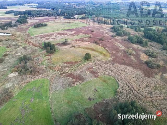 Działka rolna na sprzedaż Myślibórz gm Golina 9zł/m2 Sprzedaż