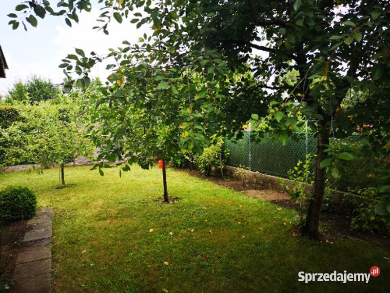 Działka rekreacyjna ROD Jaroszówka podlaskie Białystok